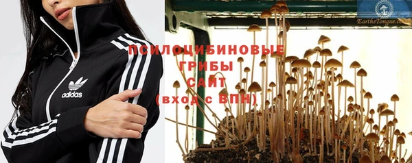 твердый Осинники