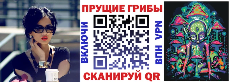 Галлюциногенные грибы прущие грибы  сколько стоит  Богородицк 