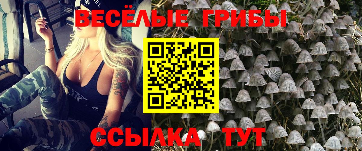 Псилоцибиновые грибы GOLDEN TEACHER  Вход с VPN  Богородицк 