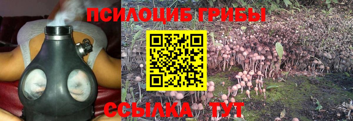 Псилоцибиновые грибы GOLDEN TEACHER  Вход с VPN  Богородицк  где купить   Галлюциногенные грибы мухоморы 
